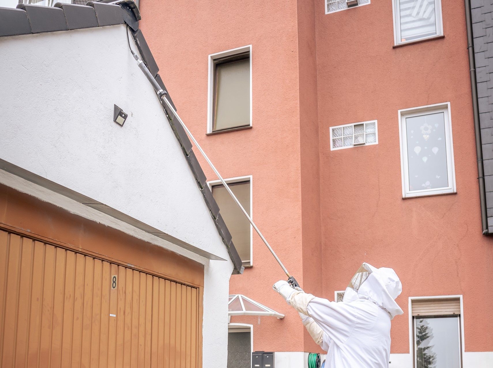 wespen-bekaempfen-dach_b